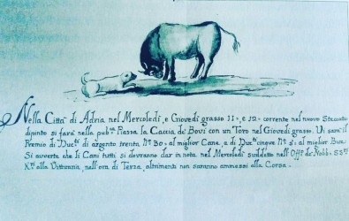 Ecco perché il toro accomuna Adria a Venezia