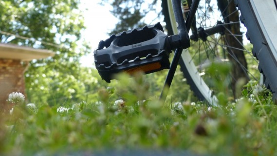 Escursione in bicicletta nel Delta Po: Una Pedalata al Tramonto