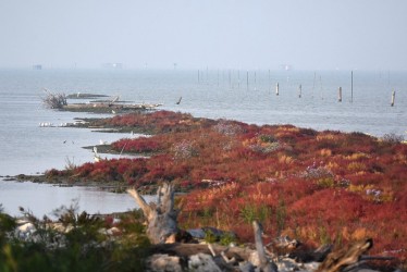 Autunno nel Delta del Po