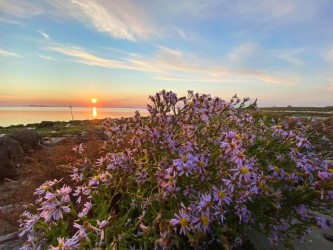 Tramonti e albe Nel Delta del Po
