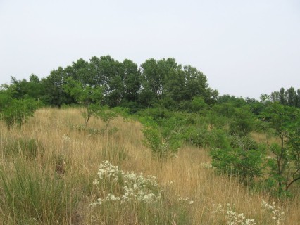 Perle del Delta: "Le Dune di Rosada" di Ariano Polesine