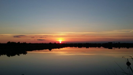 Report, specie invasive nel Delta del Po riserva della Biosfera