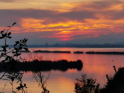 Le Valli da pesca del Delta del Po, ambienti unici e irripetibili
