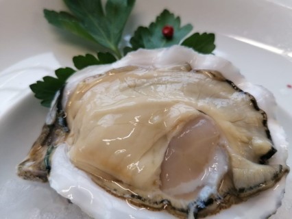Cozze, vongole veraci e perle rosa, la venericoltura nel Delta Po