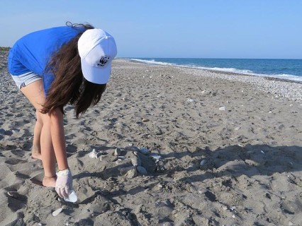 Inquinamento da plastica: grave problema per Adriatico e Delta Po