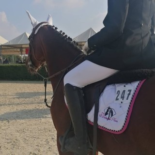 ASD il Diamante Nero: il cavallo al centro di esperienze uniche