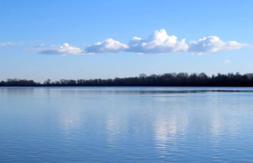 Famiglie veneziane: la colonizzazione nel Delta del Po