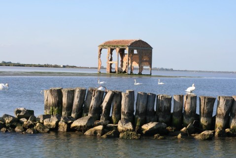 Delta del Po osservatorio della biodiversità e dei cambiamenti climatici